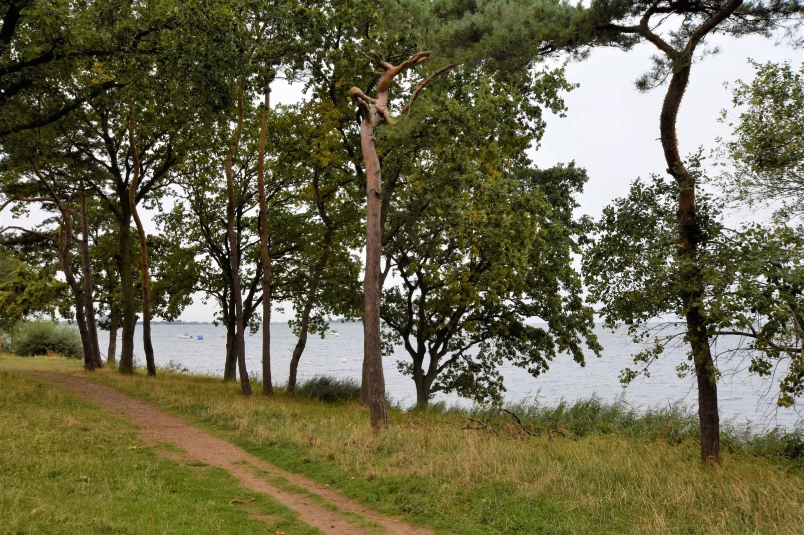 Salzhaff-Finka Pepelow Campingplatz für Surfer-Tuinen zomer