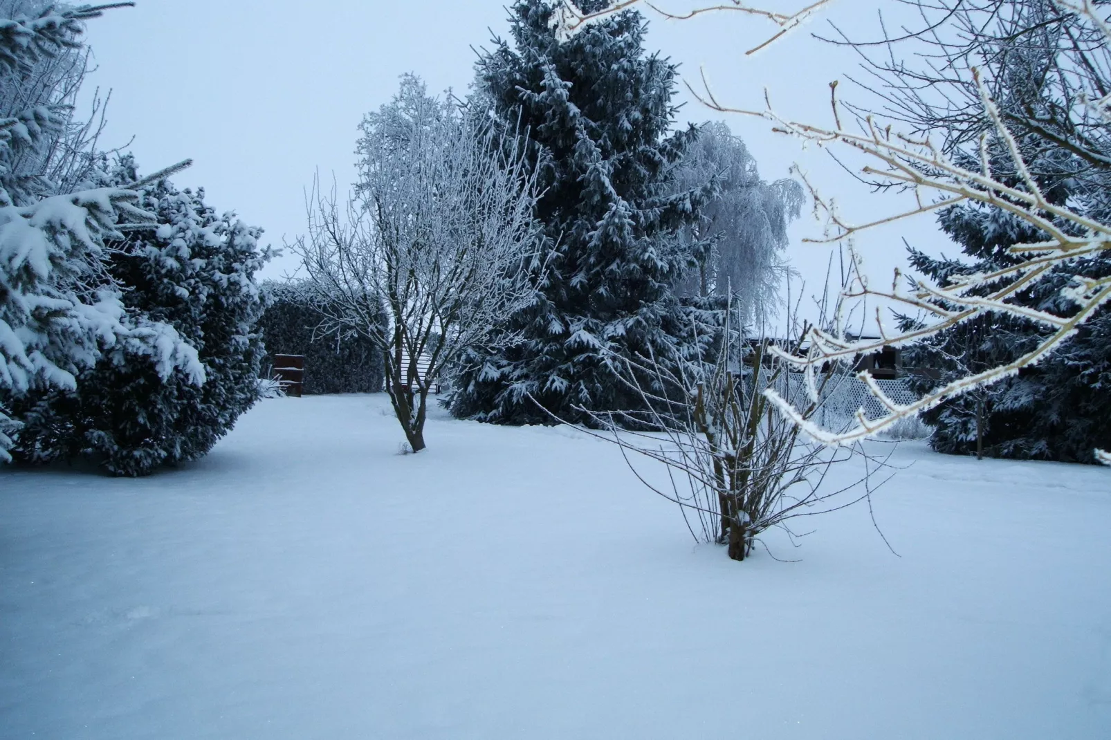 Urlaub Nähe Bad Doberan-Tuin winter