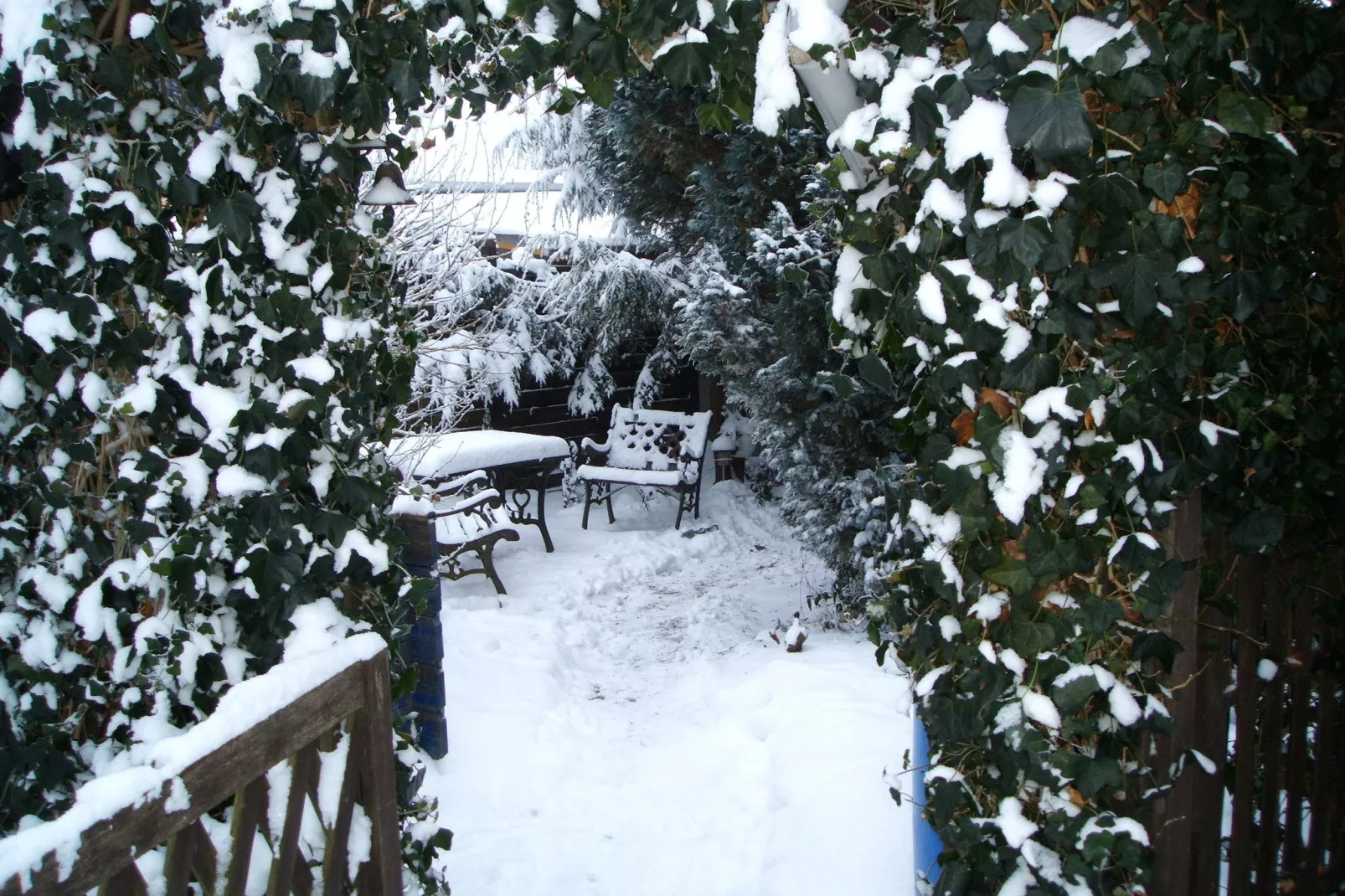 Urlaub Nähe Bad Doberan-Tuin winter