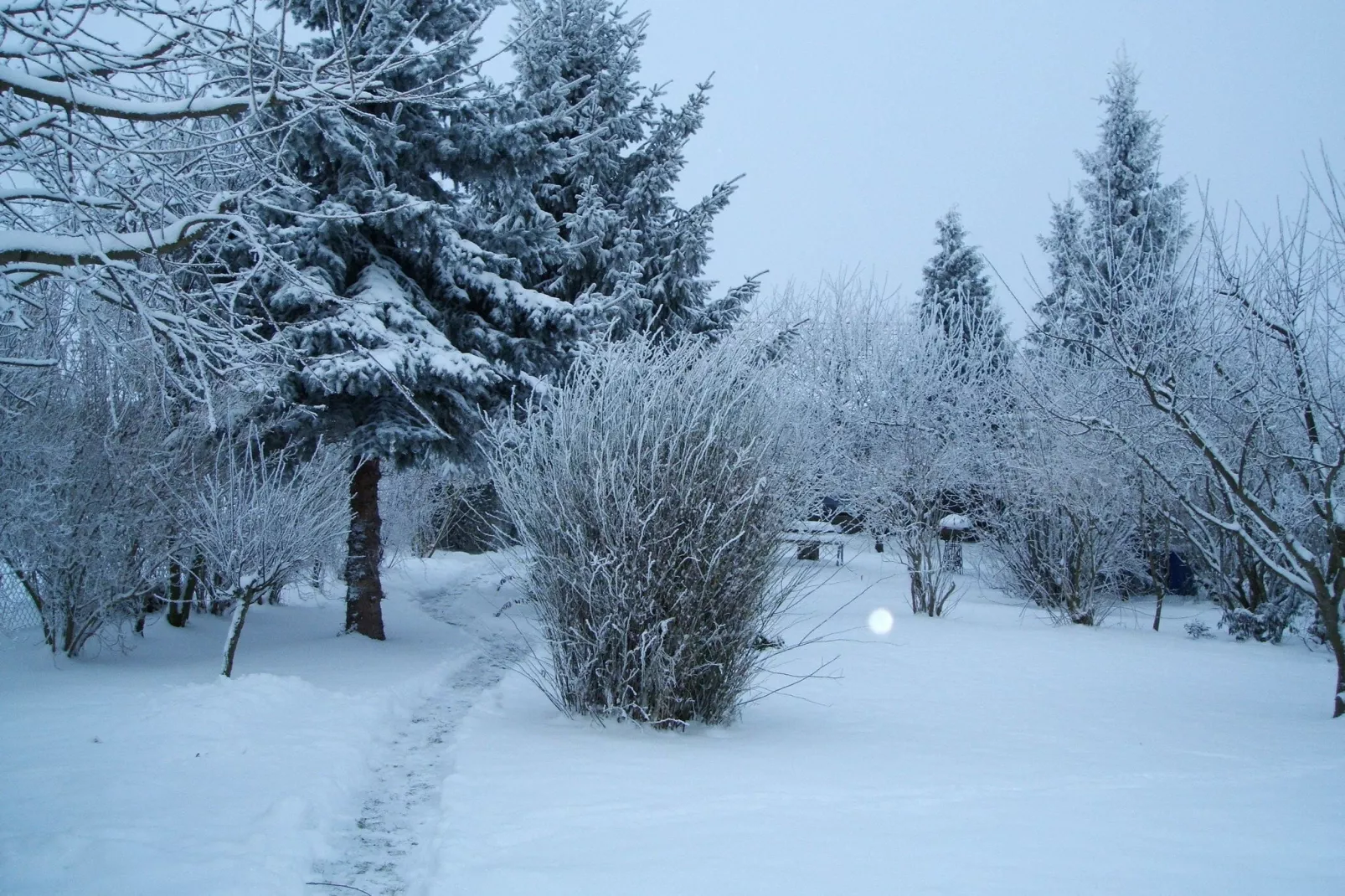 Urlaub Nähe Bad Doberan-Uitzicht winter