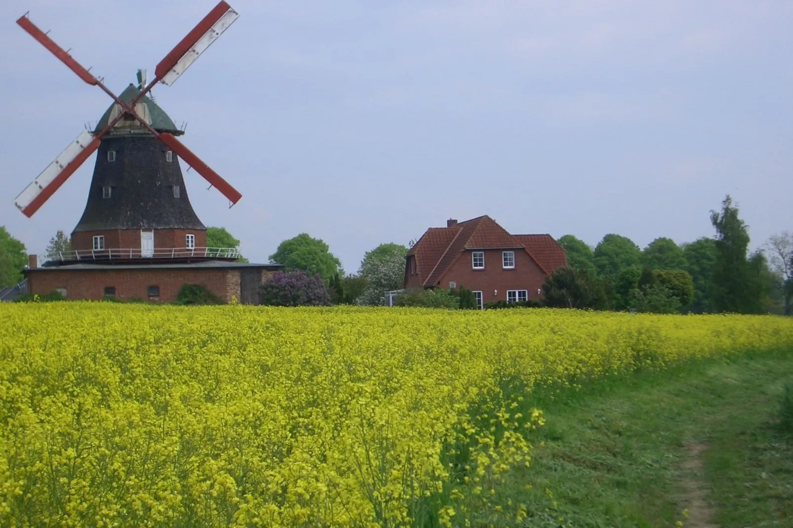 Zur Windmühle-Buitenkant zomer