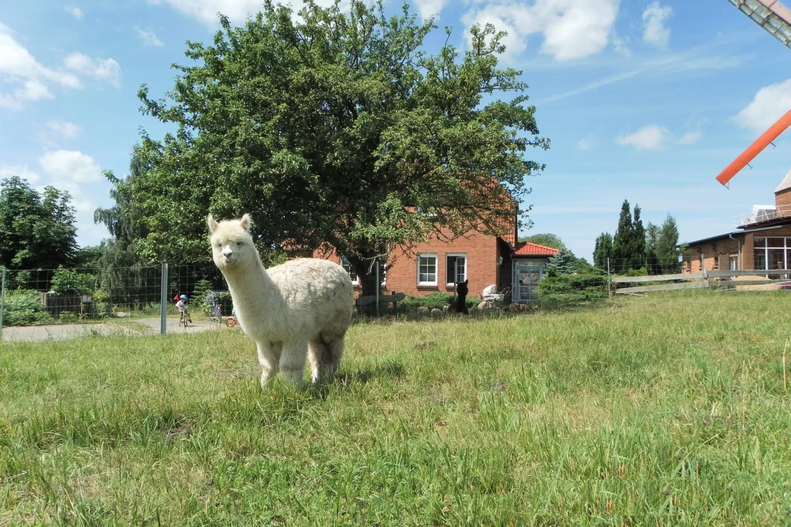 Zur Windmühle-Uitzicht zomer