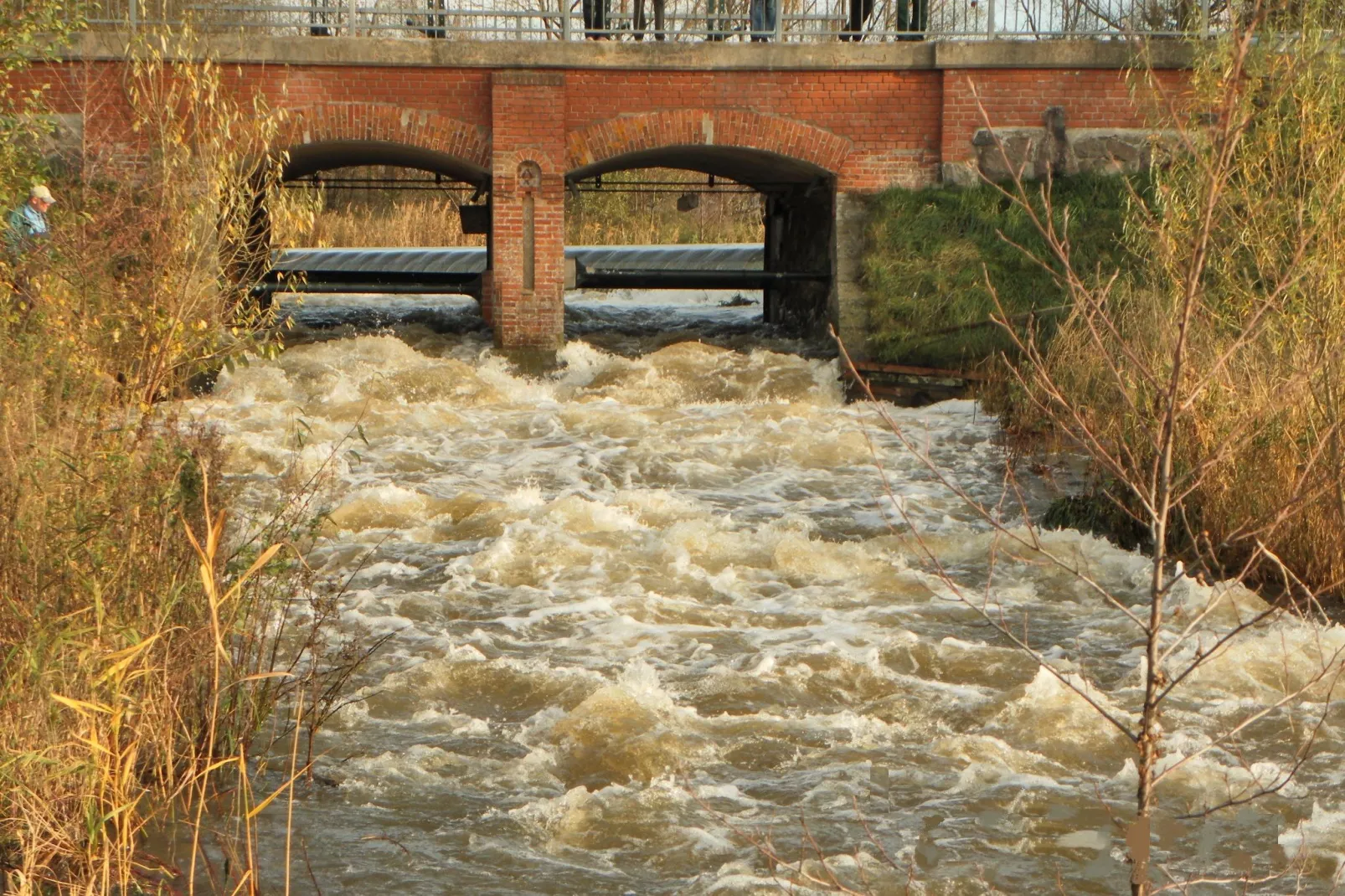 Zur Windmühle-Gebied winter 1km