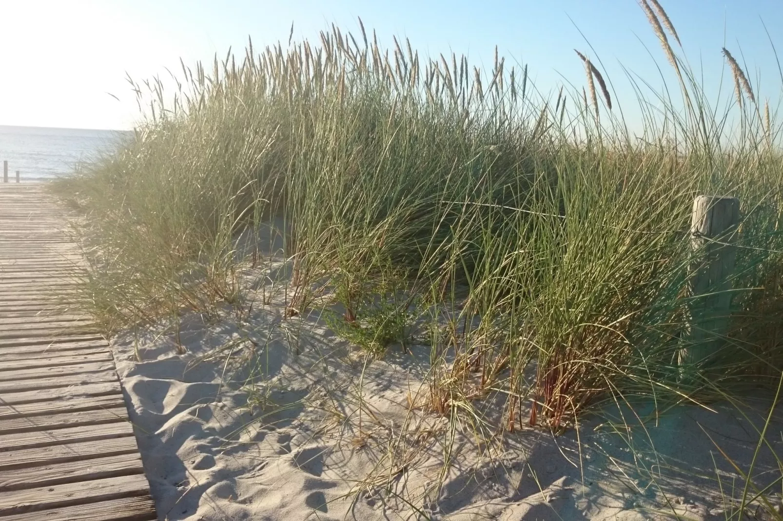 Strandnahe Finnhütte-Gebieden zomer 1km