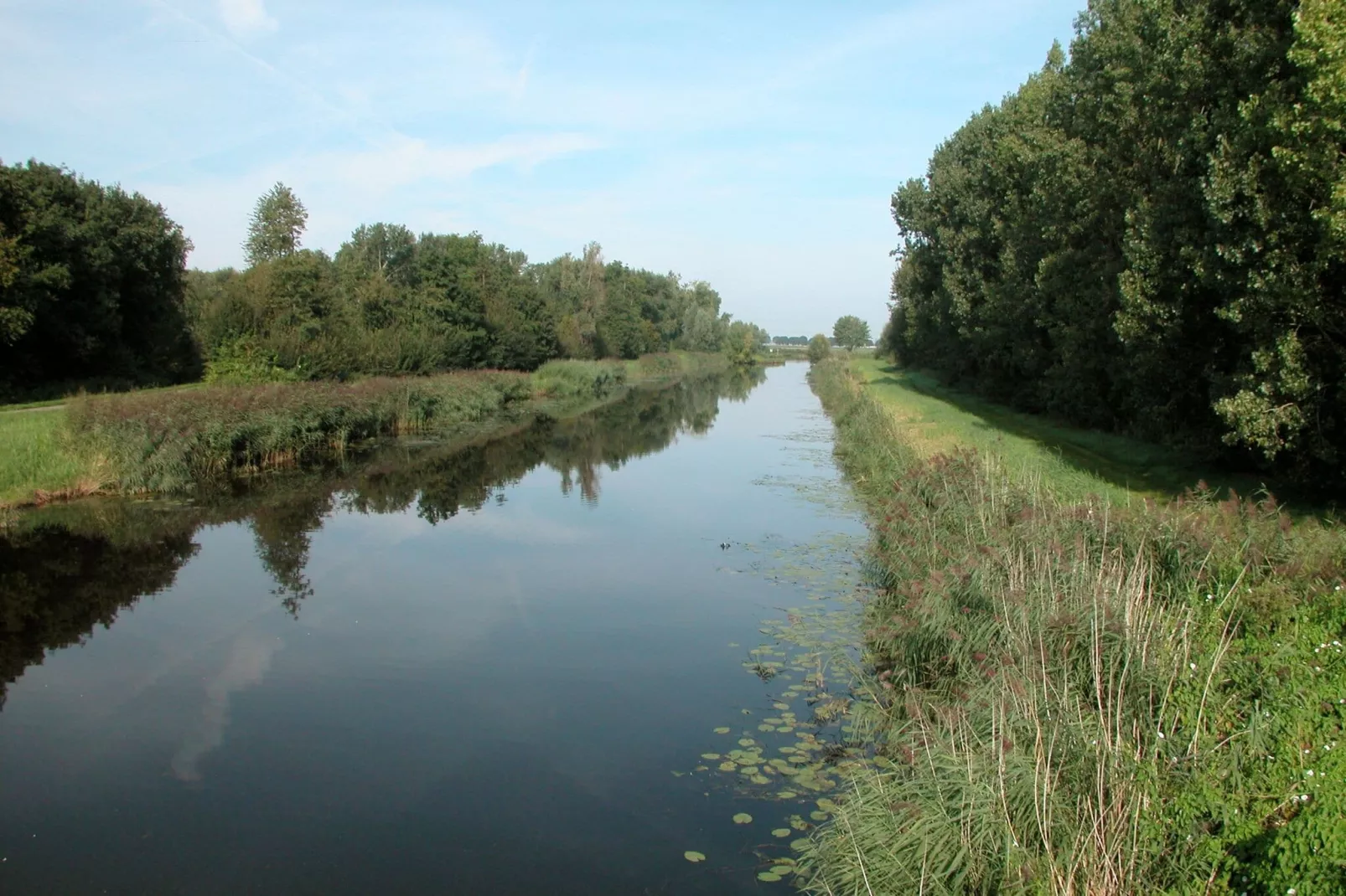 Parkhorst-Gebieden zomer 1km