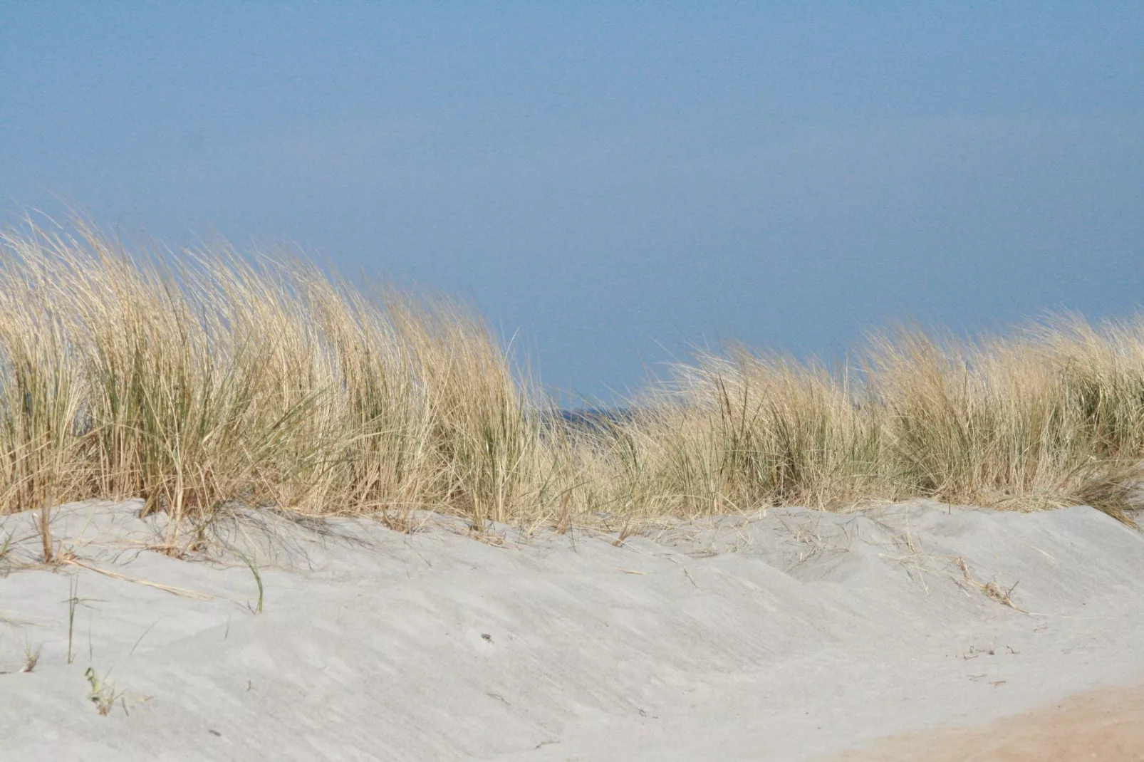 Strandnahe Finnhütte-Gebieden zomer 20km