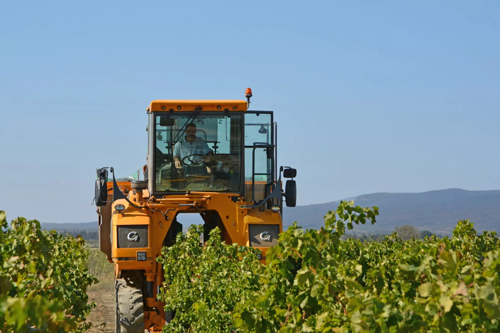 Villa Le Carignan-Sfeer