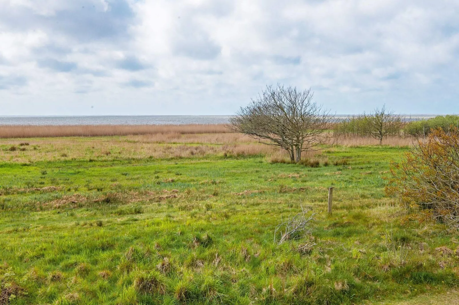 6 persoons vakantie huis in Skjern-By Traum-Niet-getagd
