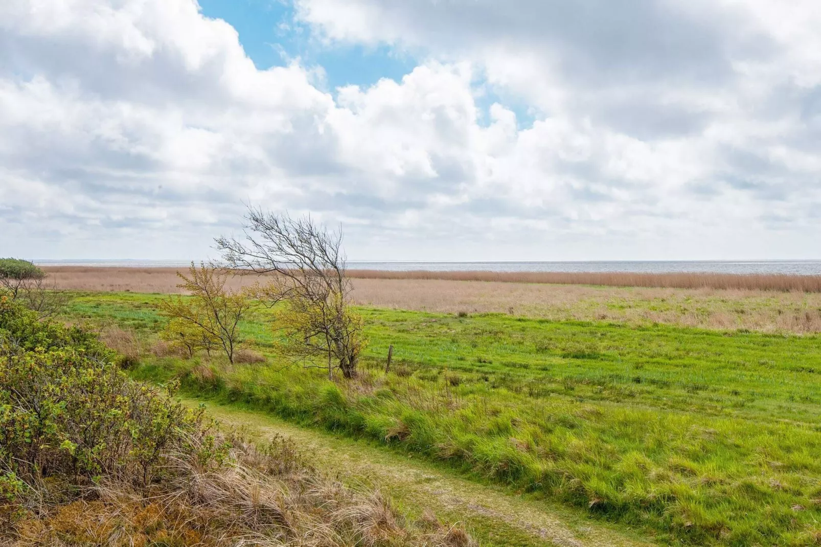 6 persoons vakantie huis in Skjern-By Traum-Niet-getagd