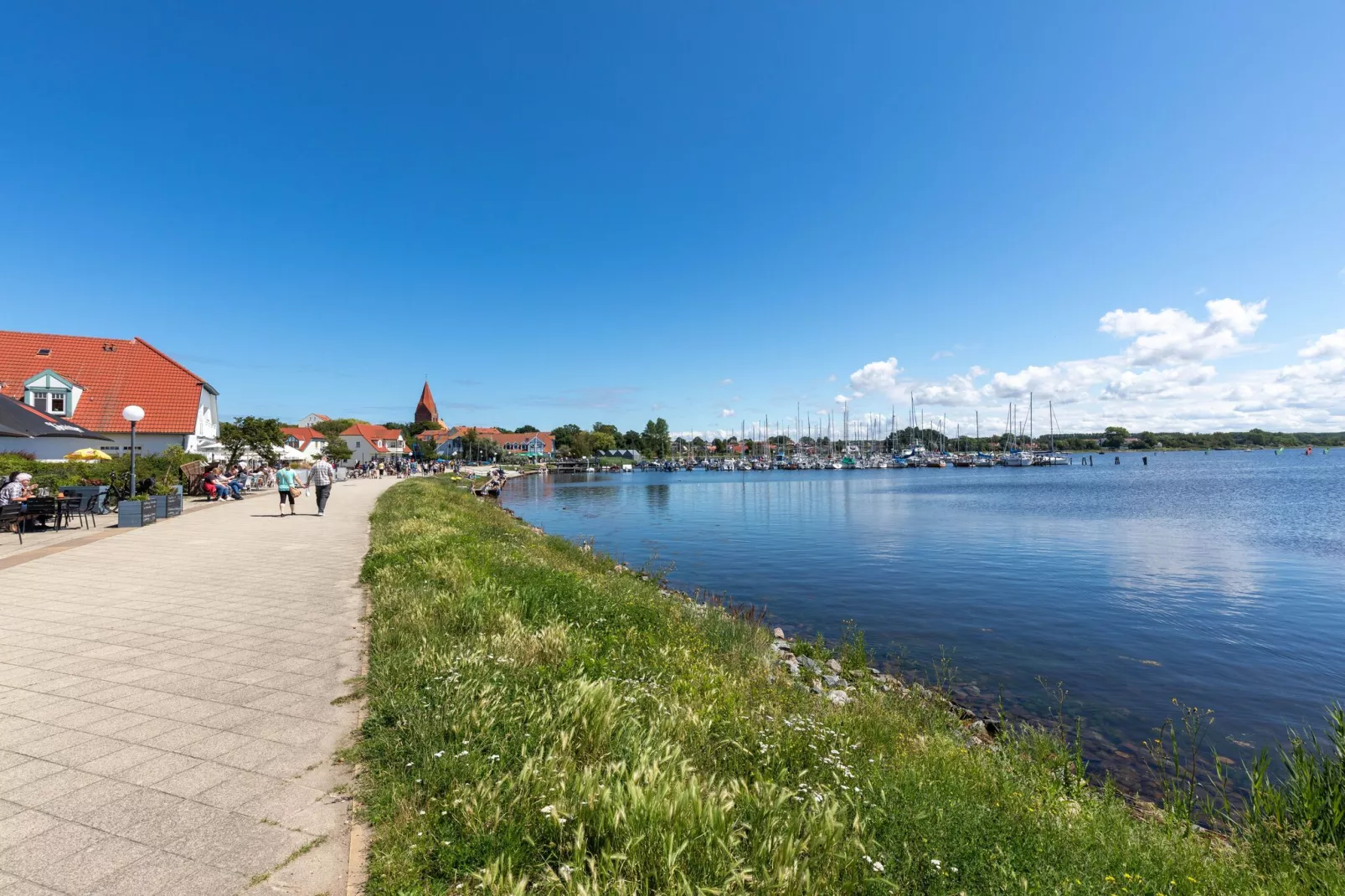 Teßmannsdorf am Salzhaff-Gebieden zomer 5km