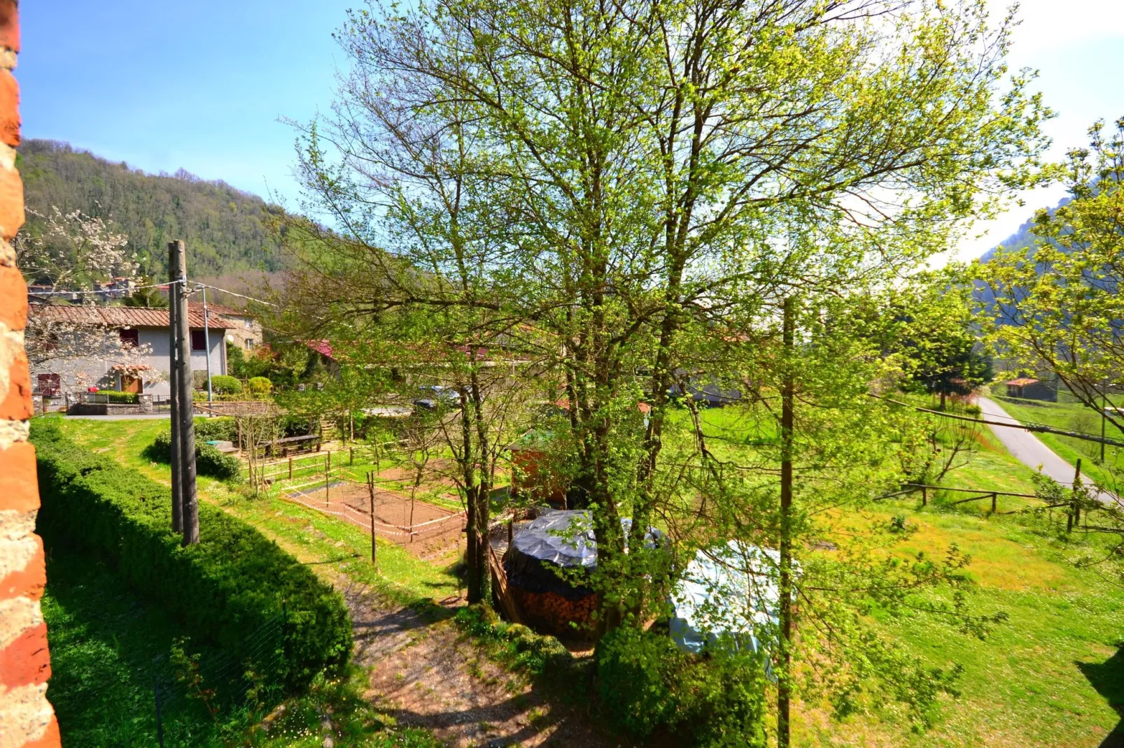 Mooi ouderwets en gezellig vakantiehuis met zwembad in een landelijke omgeving-Uitzicht zomer