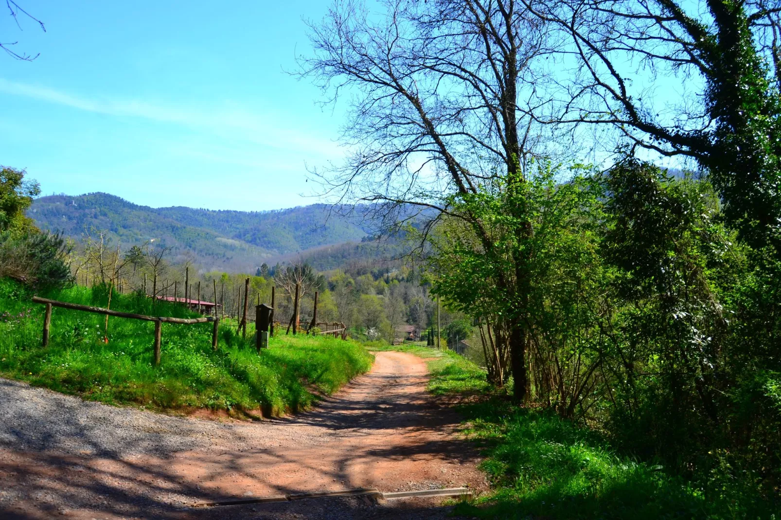 Mooi ouderwets en gezellig vakantiehuis met zwembad in een landelijke omgeving-Gebieden zomer 1km