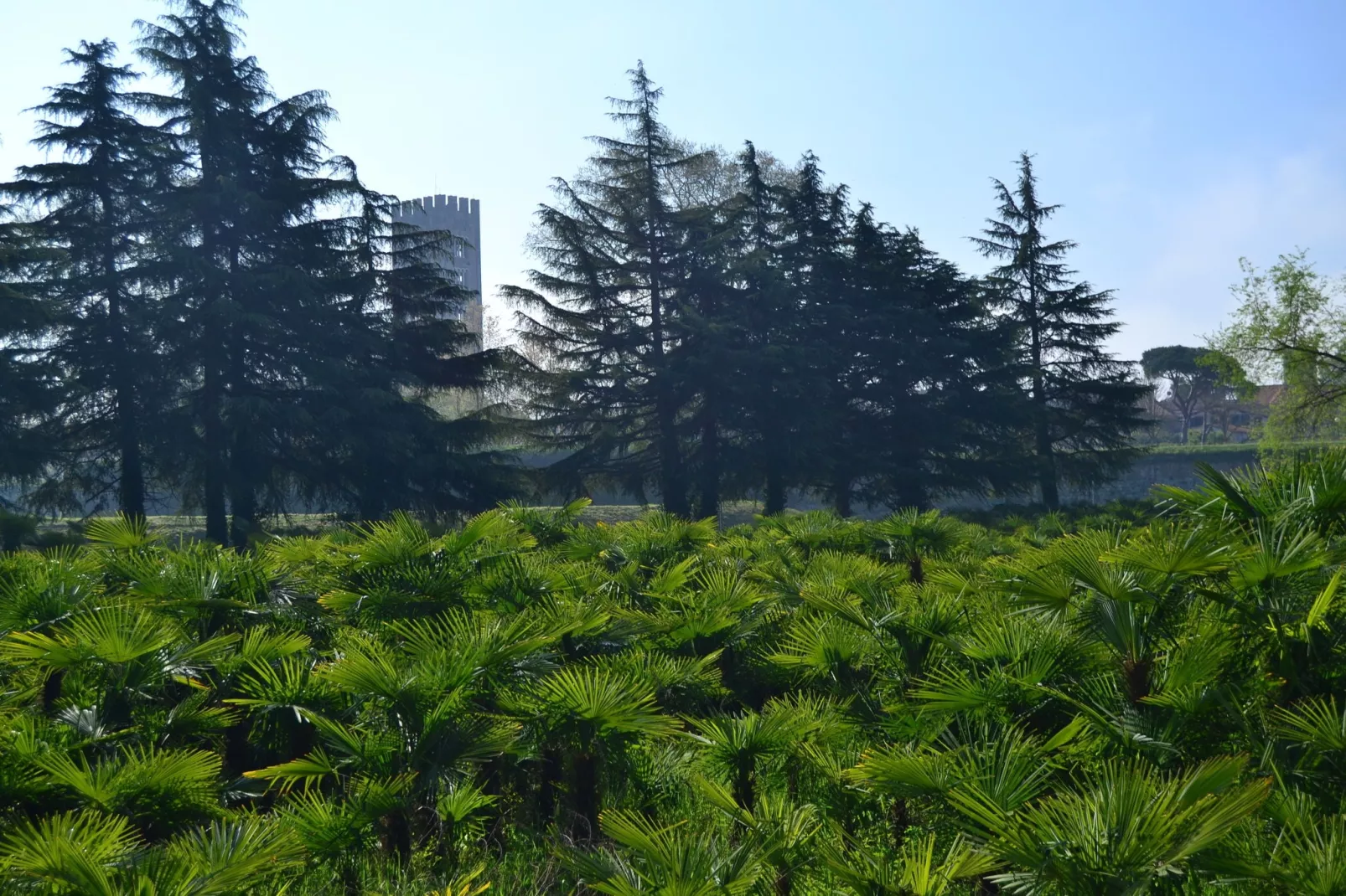 Mooi ouderwets en gezellig vakantiehuis met zwembad in een landelijke omgeving-Sfeer