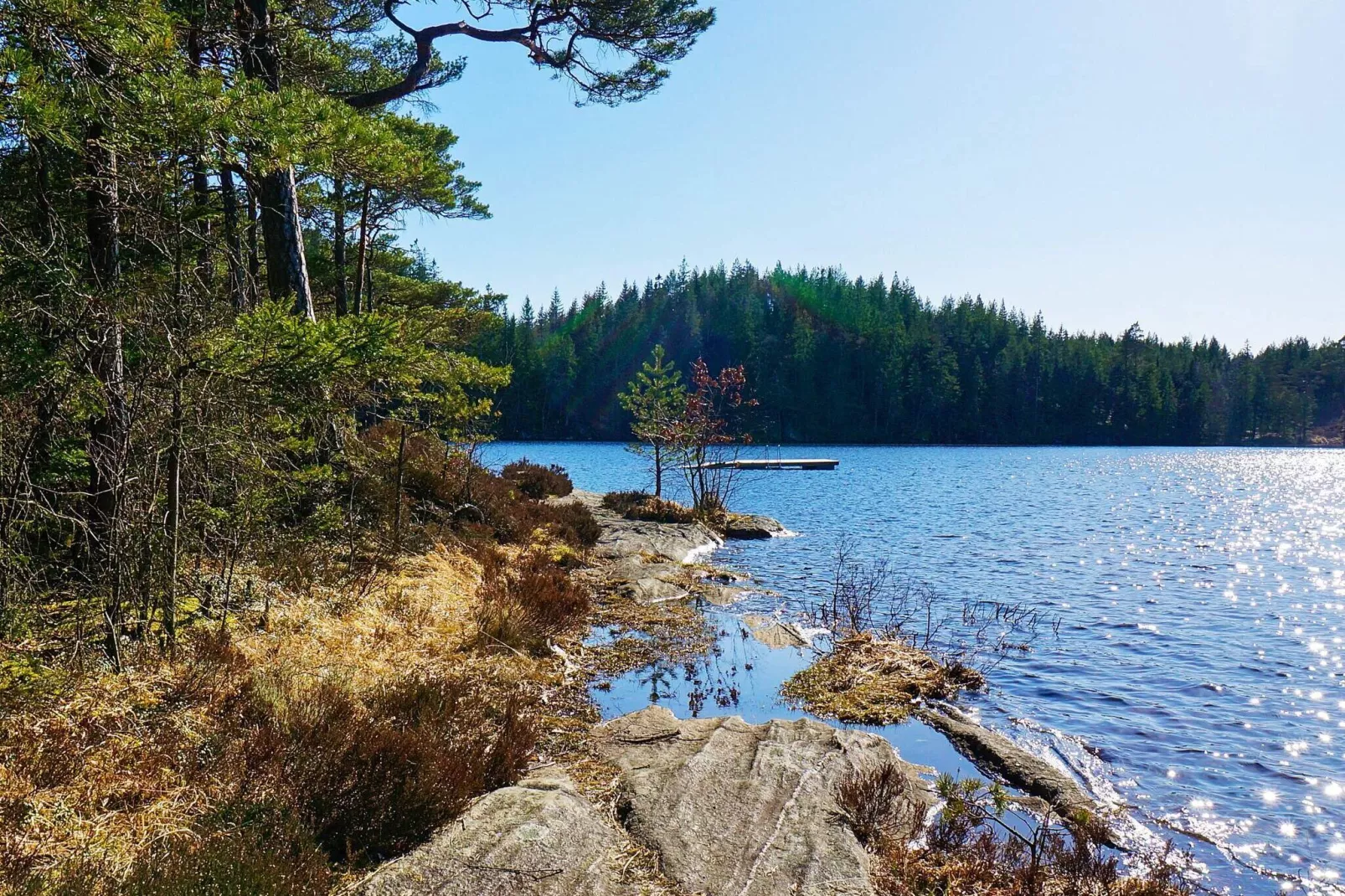 4 sterren vakantie huis in VESTERLANDA