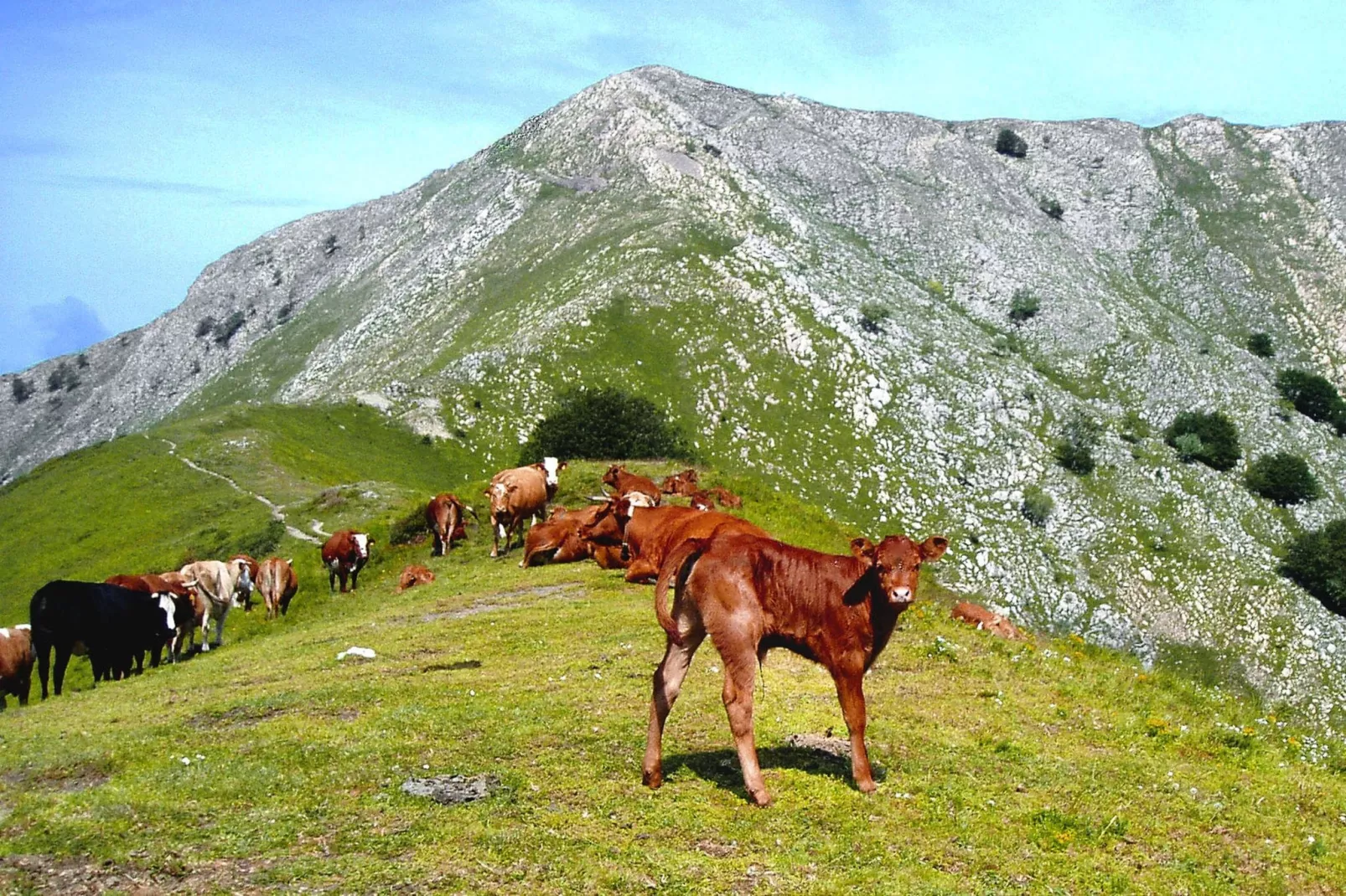 Casa Bel-Gebieden zomer 20km