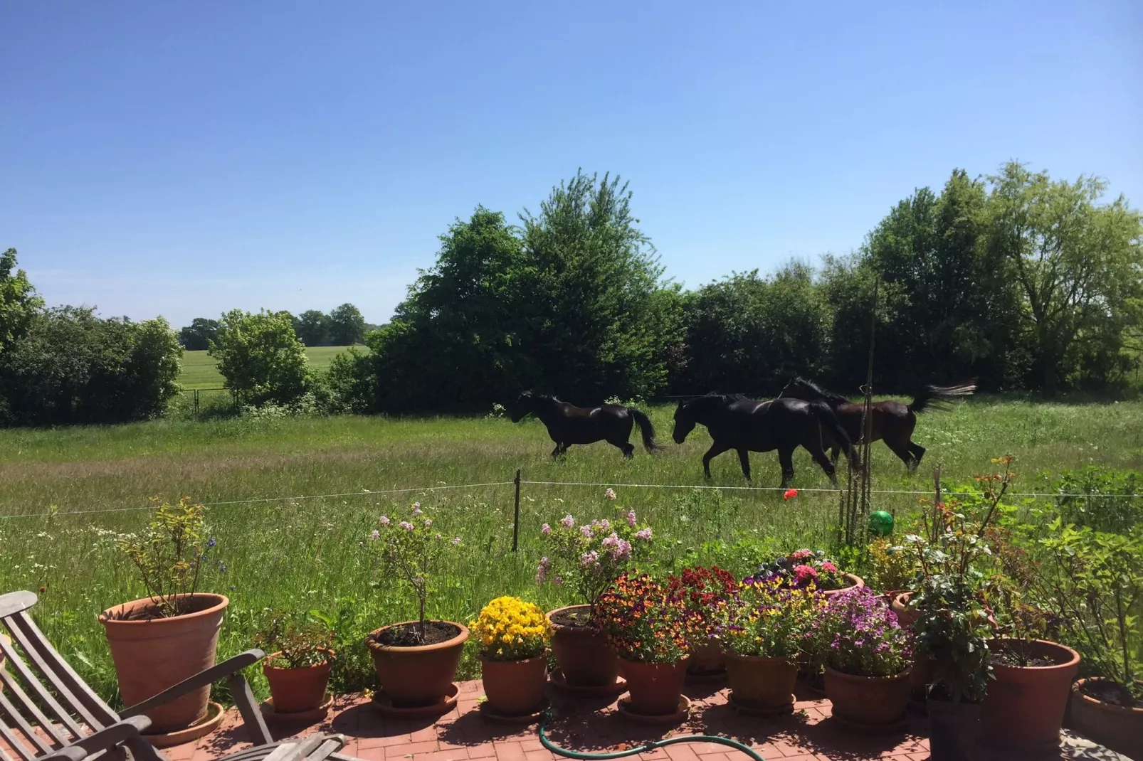 Romantisches Landhaus mit Kamin-Tuinen zomer