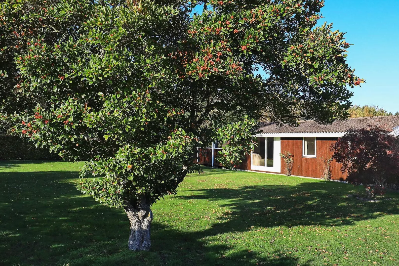 8 persoons vakantie huis in Væggerløse-By Traum-Uitzicht