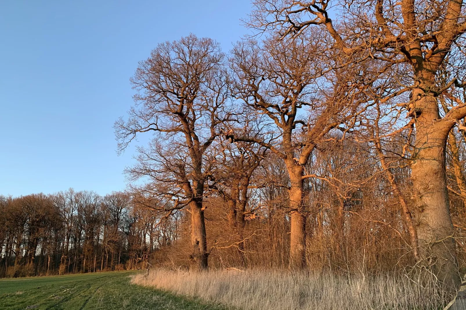 Romantisches Landhaus mit Kamin-Gebied winter 1km