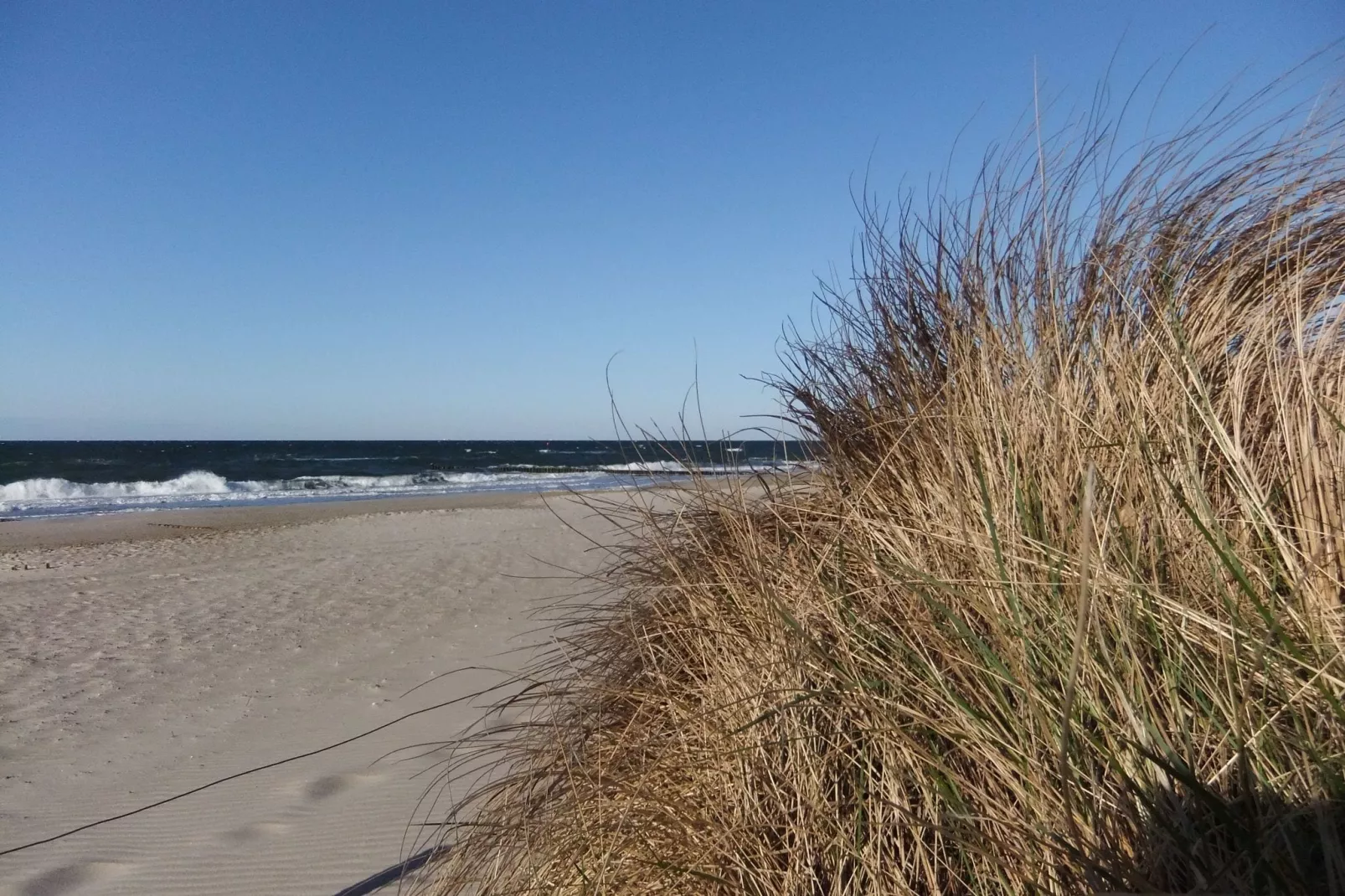 Ferienwohnung Eva mit Meerblick - strandnah-Gebieden zomer 5km