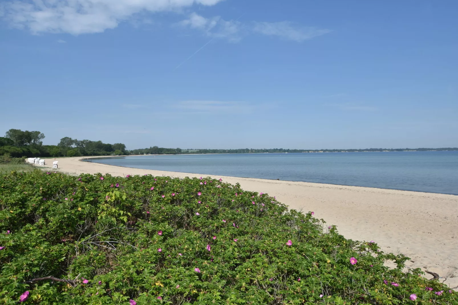 Ostseetraum Boltenhagen-Gebieden zomer 20km