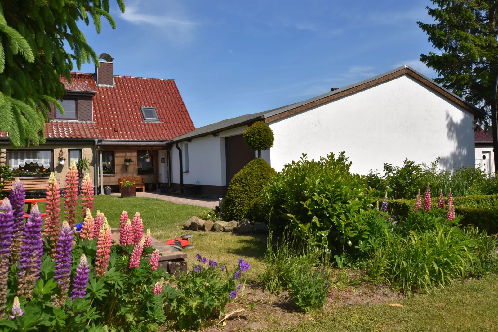 Kinderparadies nahe Insel Poel