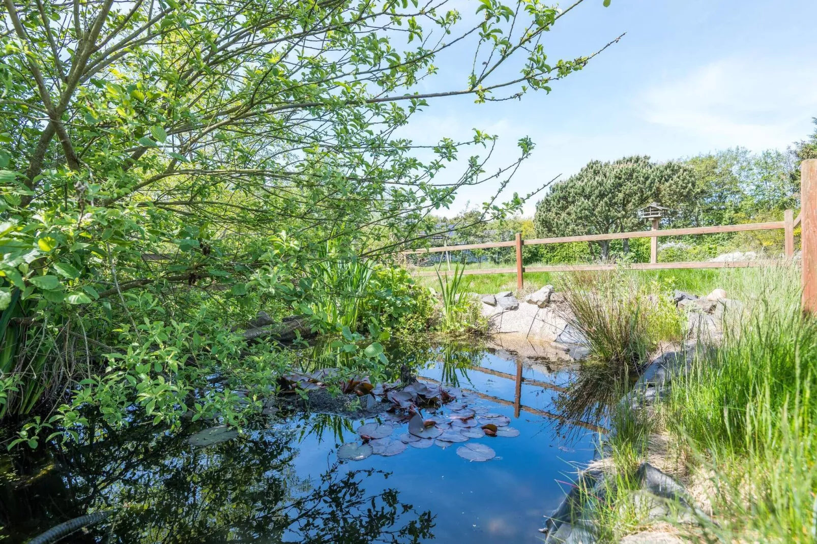 6 persoons vakantie huis in Fanø-Buitenlucht