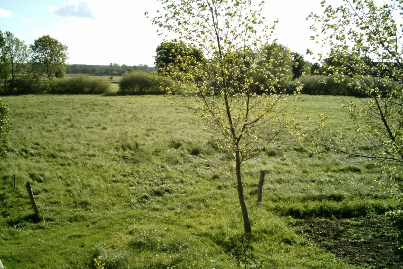 Harderhof 2-Gebieden zomer 1km