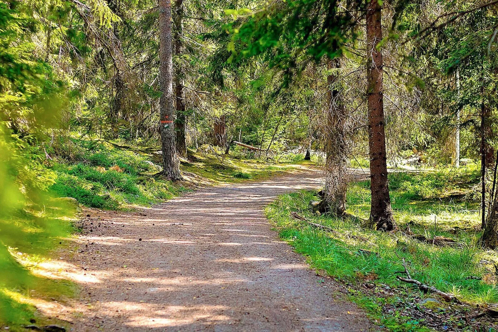 5 persoons vakantie huis in SÄLEN-By Traum-Niet-getagd