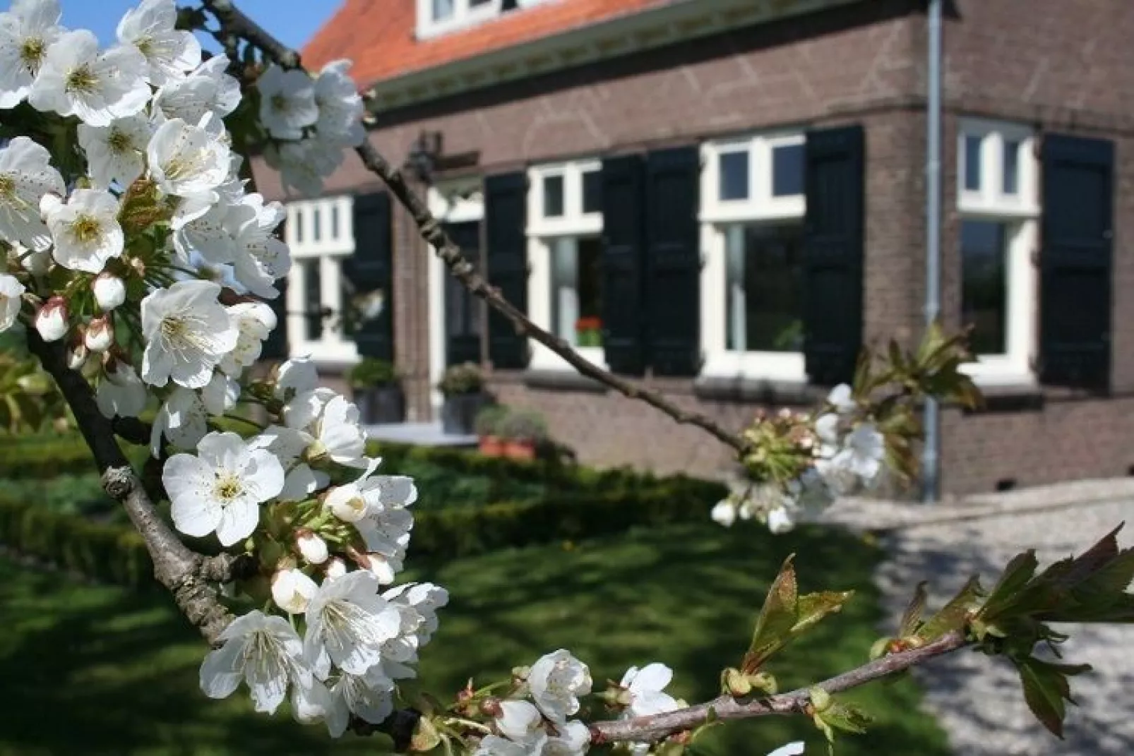 Hof van IJzendijke-Tuinen zomer