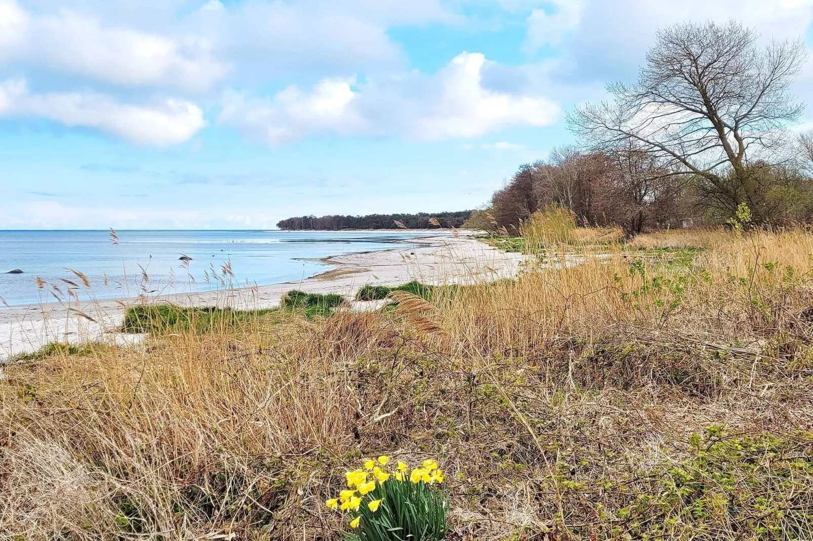 8 persoons vakantie huis in Nexø-Buitenlucht