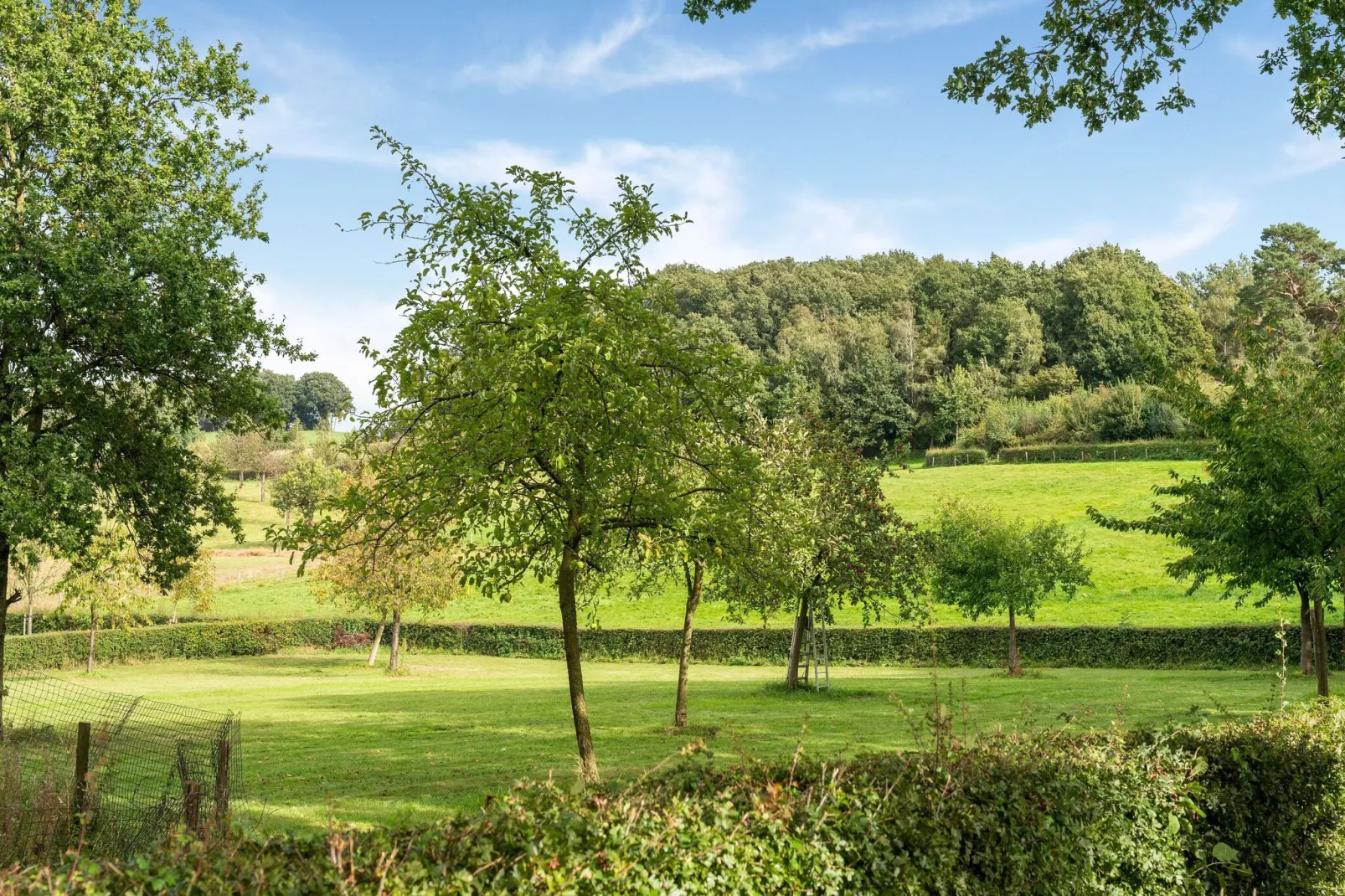 Valleyview Cottages - NR01-Gebieden zomer 5km