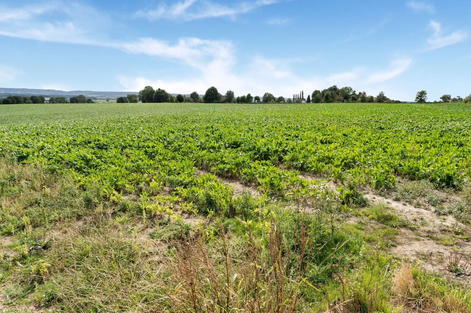 Valleyview Cottages - NR01-Gebieden zomer 5km