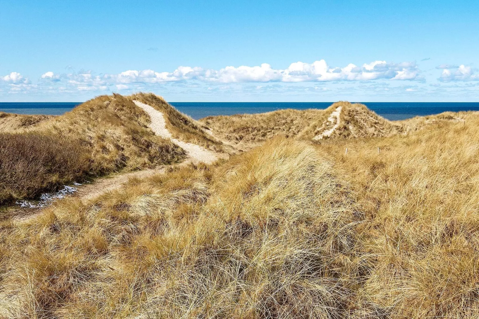 10 persoons vakantie huis in Løkken-By Traum-Buitenlucht