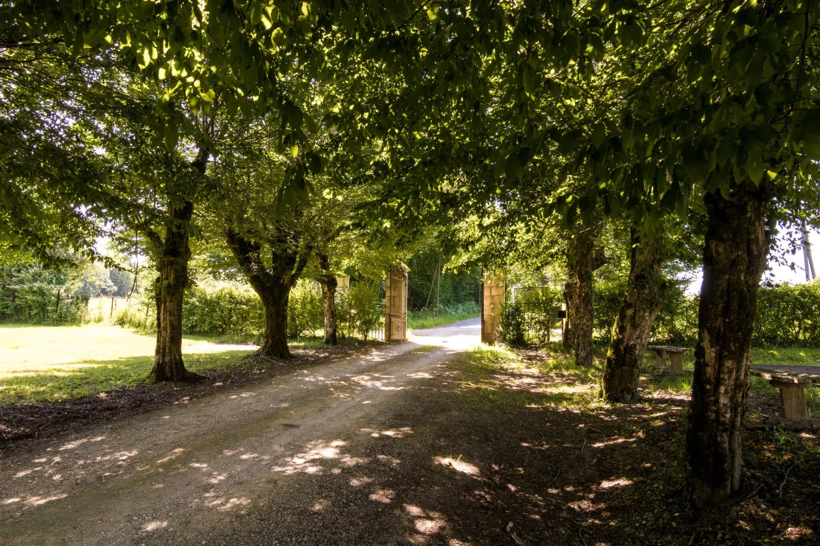 Gîte du Château-Gebieden zomer 1km