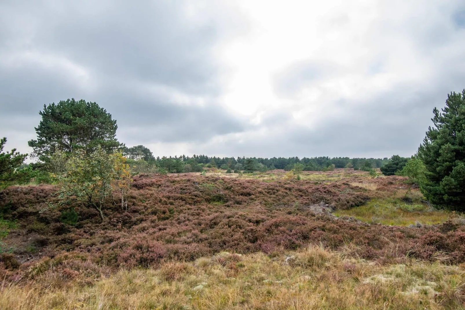 5 persoons vakantie huis in Fanø-Buitenlucht