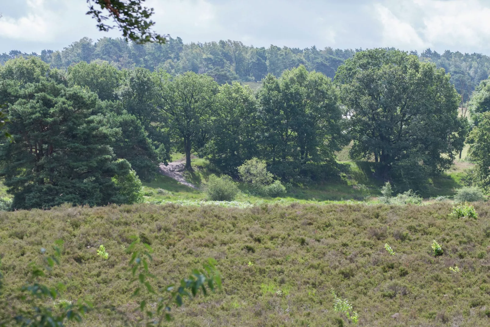 Resort Brunssummerheide 1-Gebieden zomer 5km