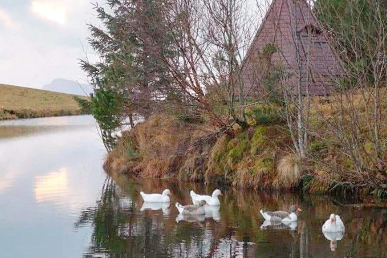 6 persoons vakantie huis in Tansøy-Niet-getagd
