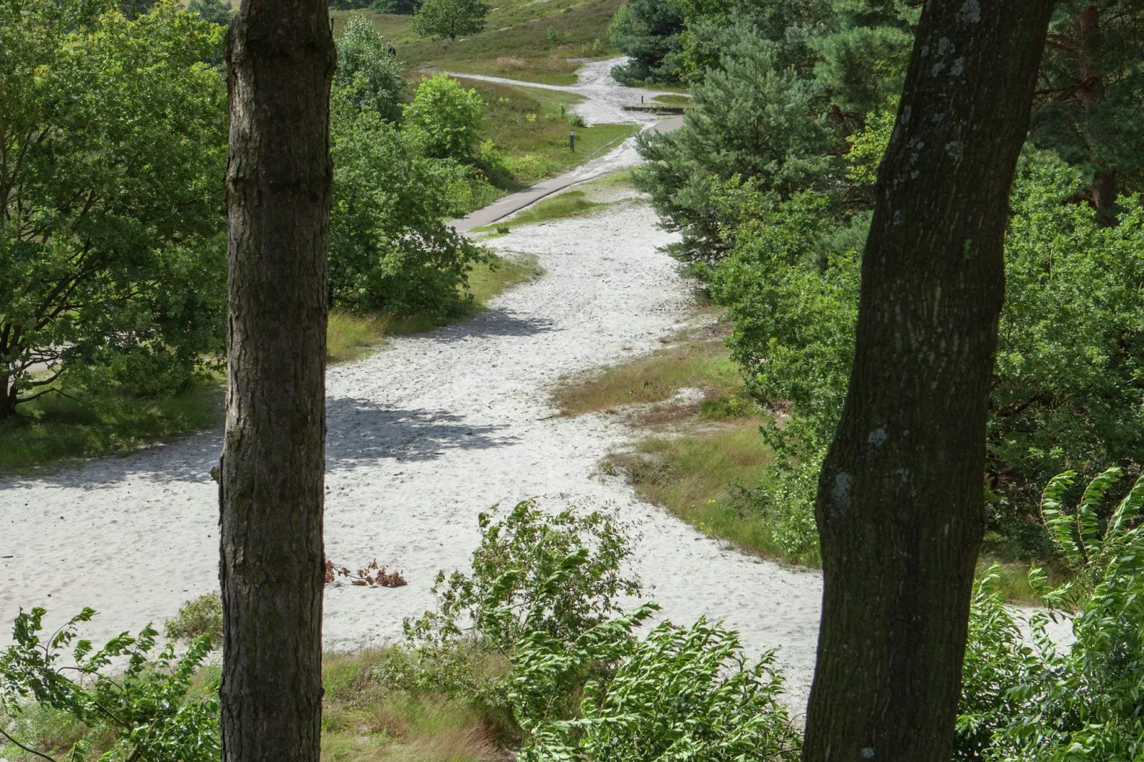 Resort Brunssummerheide 19-Gebieden zomer 5km