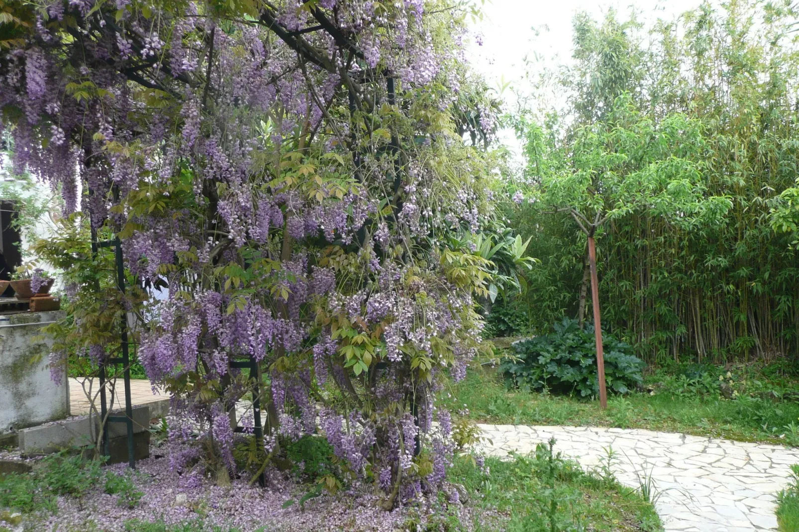 Casa Bela Esperança-Tuinen zomer