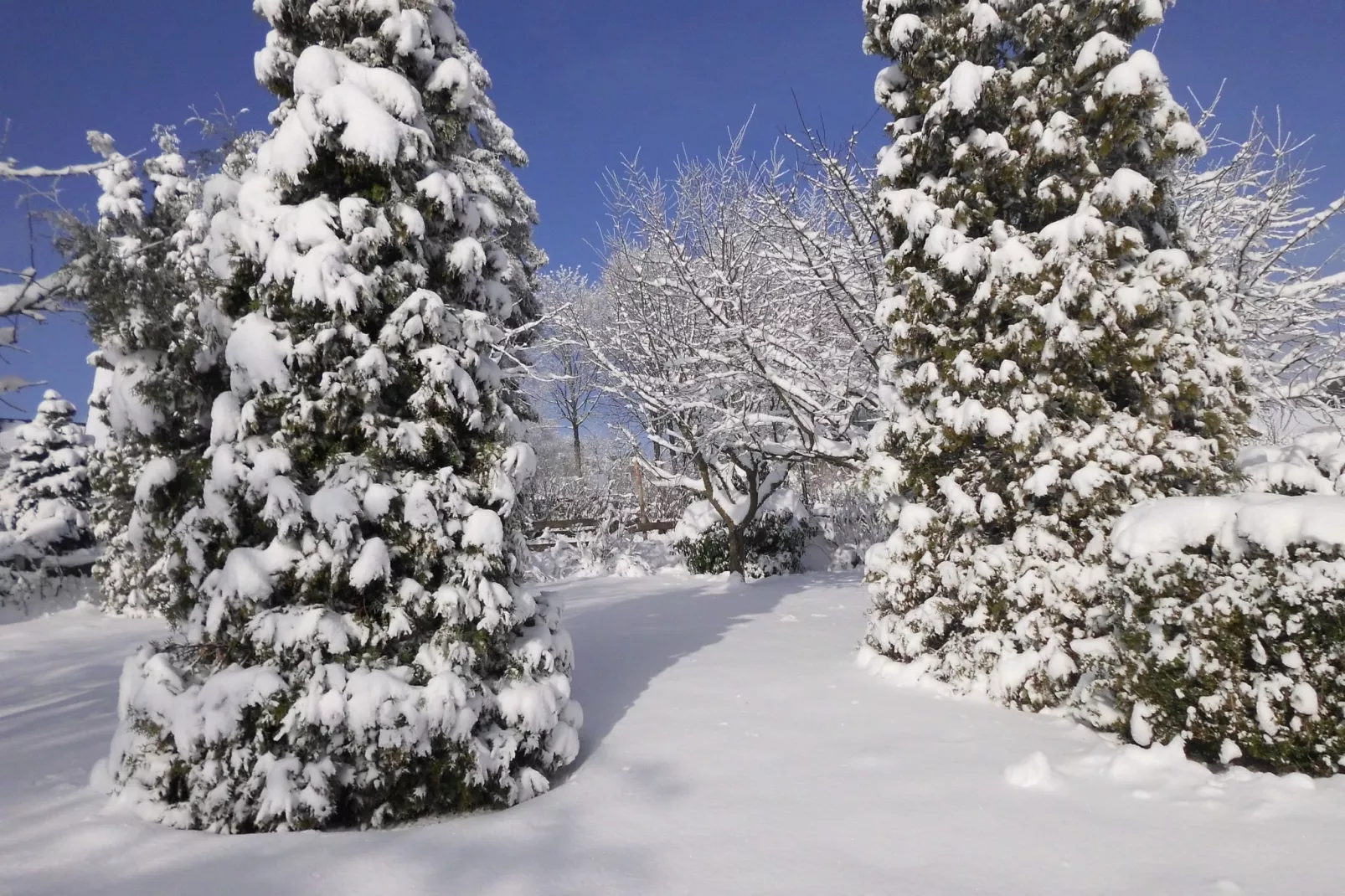 Hanjürgens-Gebied winter 1km