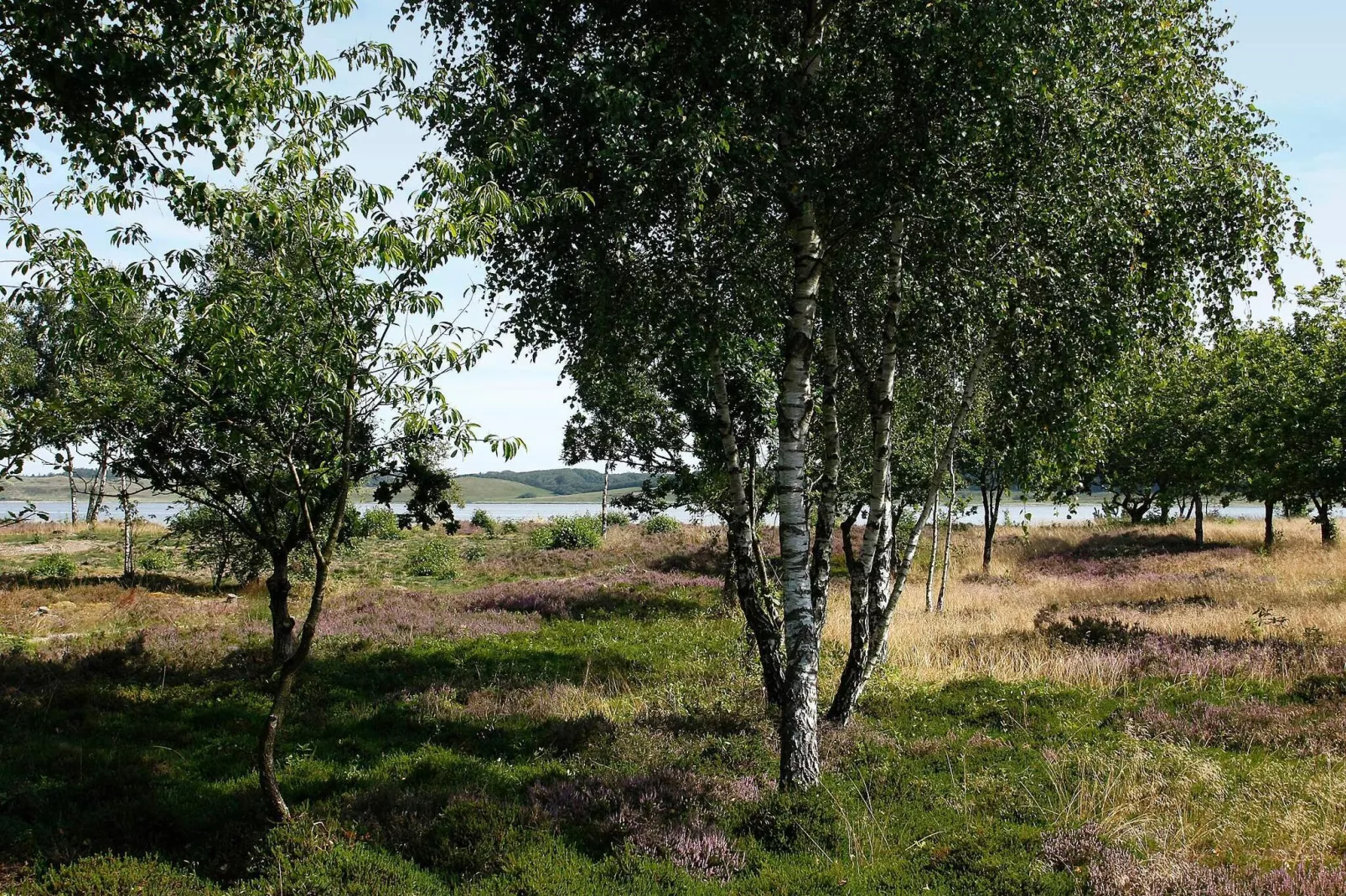 8 persoons vakantie huis in Højslev-By Traum-Uitzicht