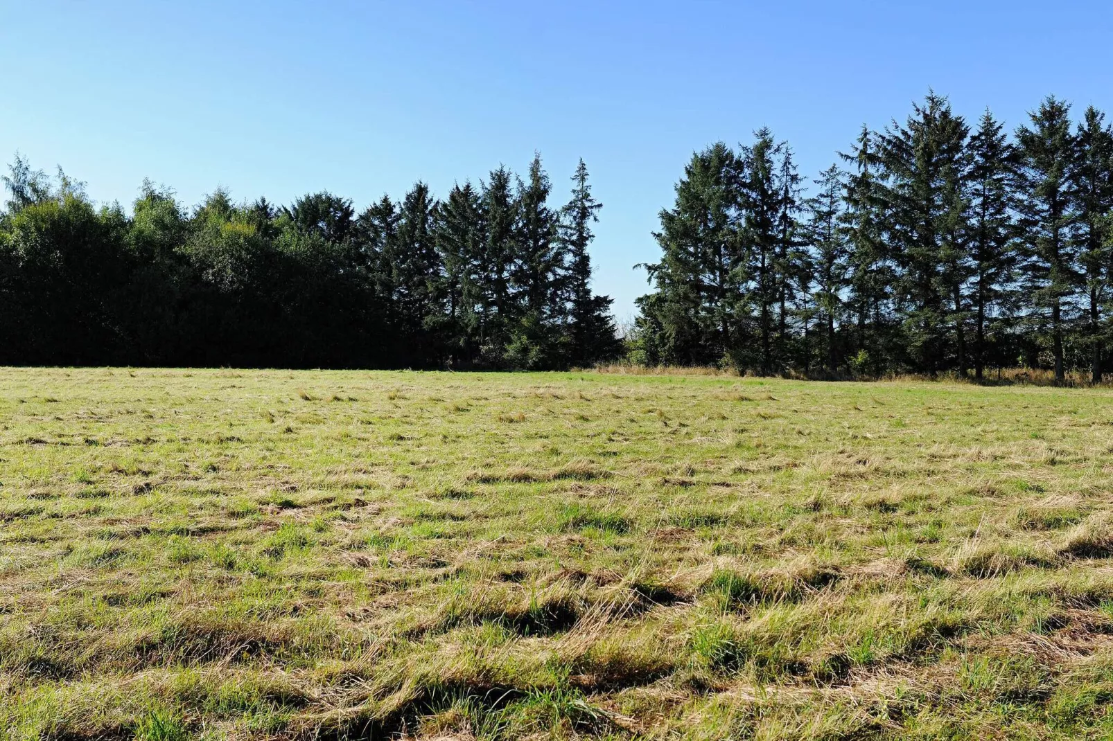 5 persoons vakantie huis in Ansager-By Traum-Buitenlucht