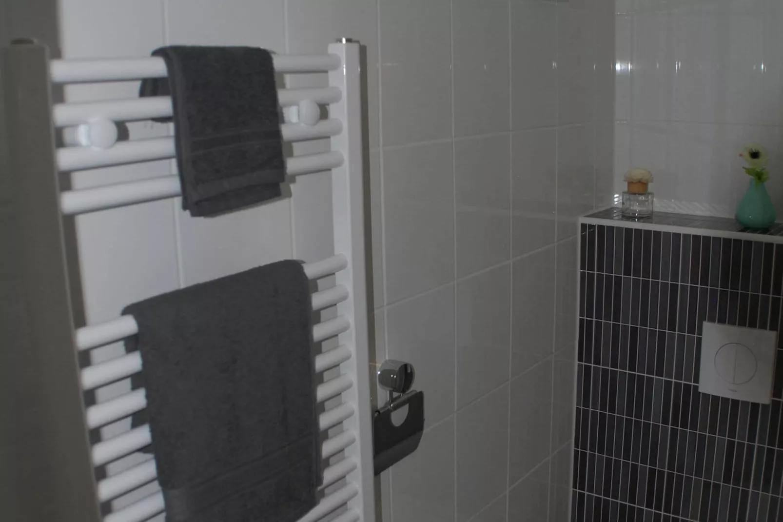 Resort Brunssummerheide 26-Badkamer