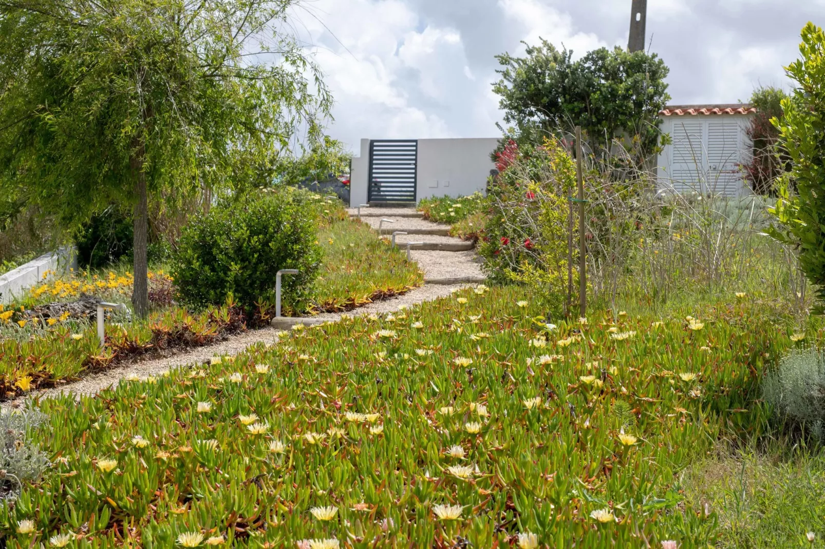 Villa Cabana-Tuinen zomer