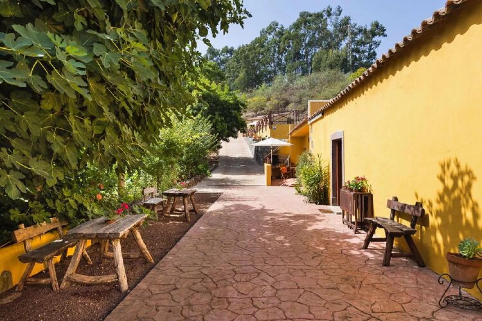 Finca Naturacanaria - Casa Doramas-Buitenkant zomer