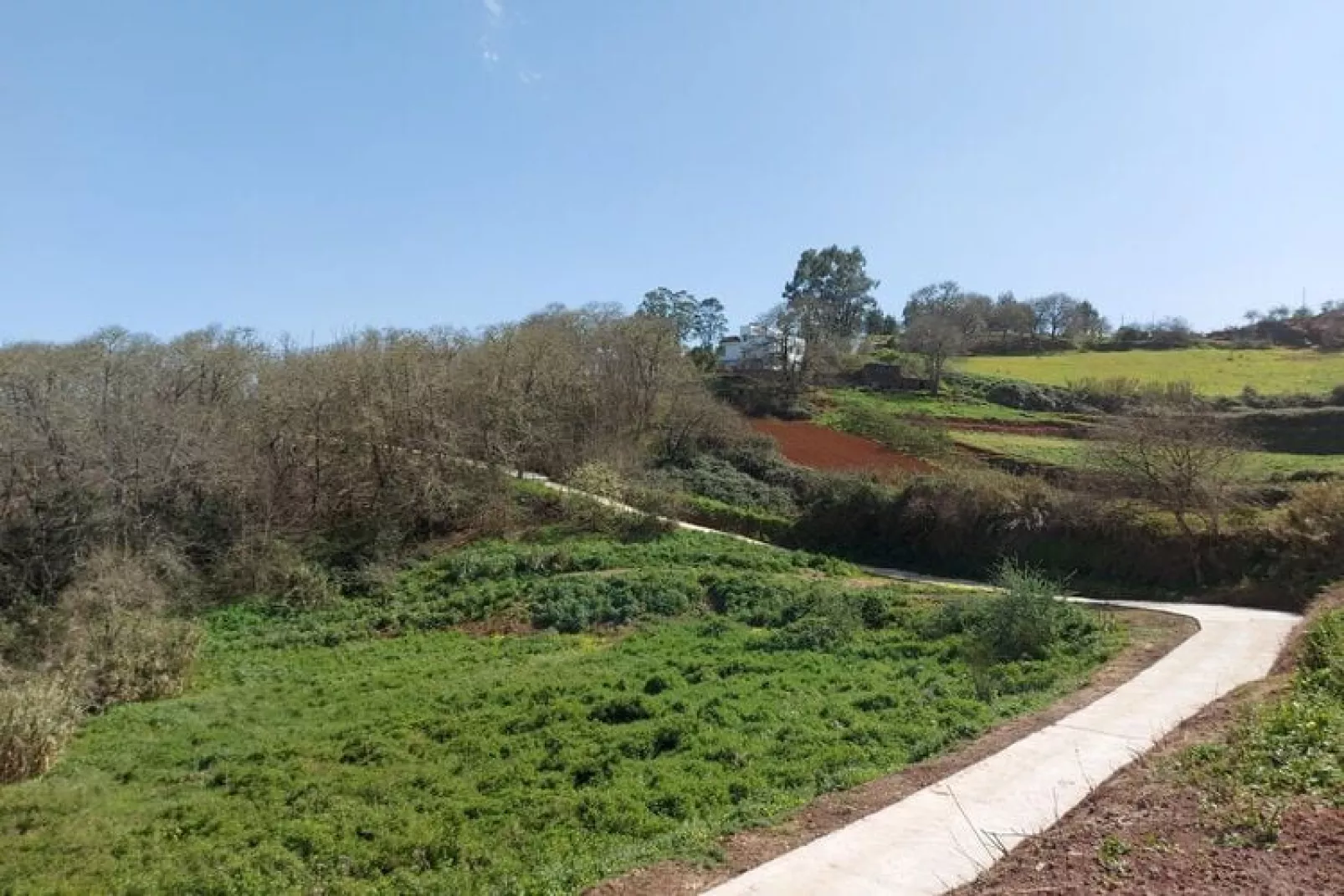 Finca Naturacanaria - Casa Doramas-Buitenkant zomer