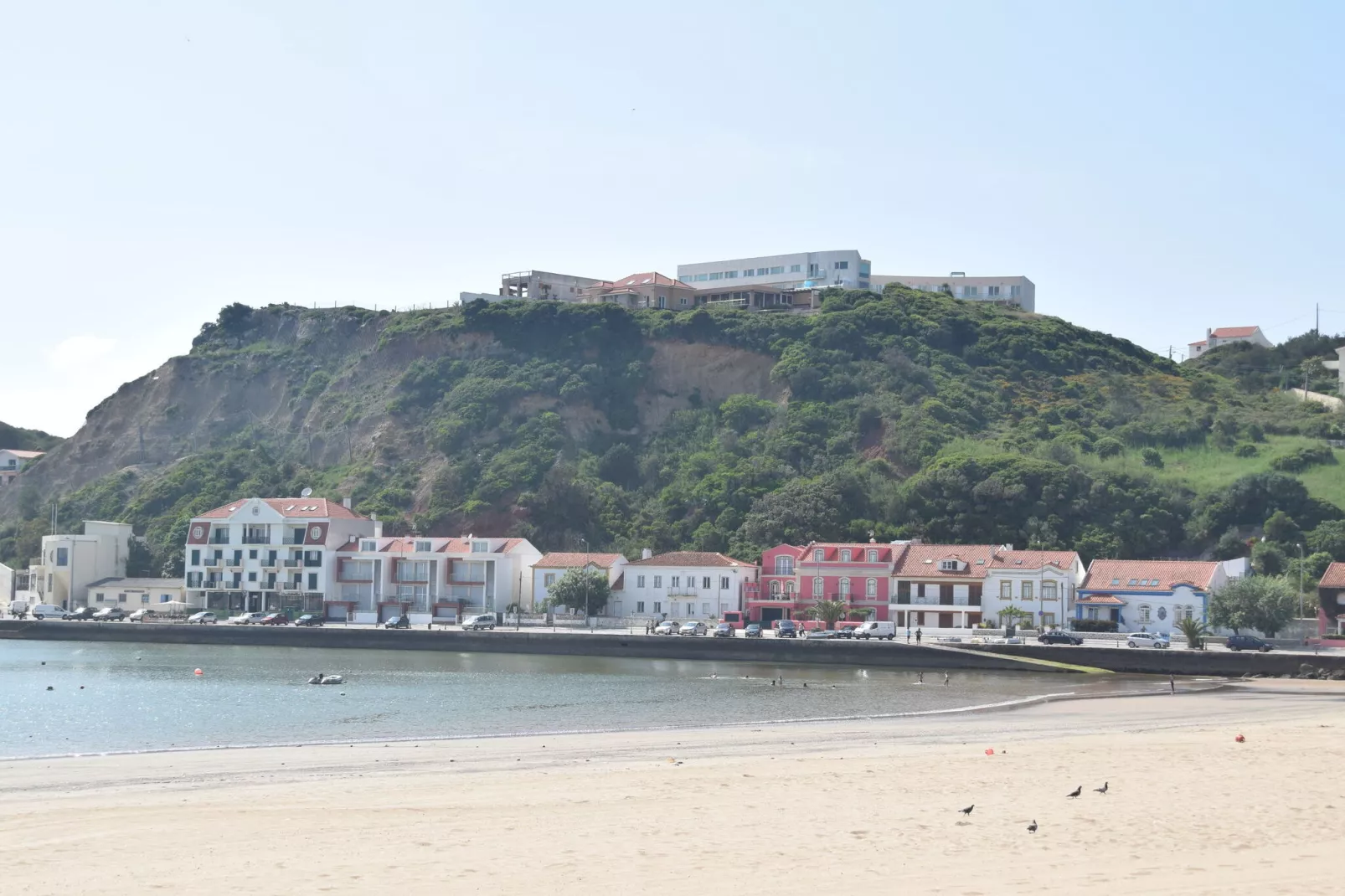 View on the Bay-Gebieden zomer 1km