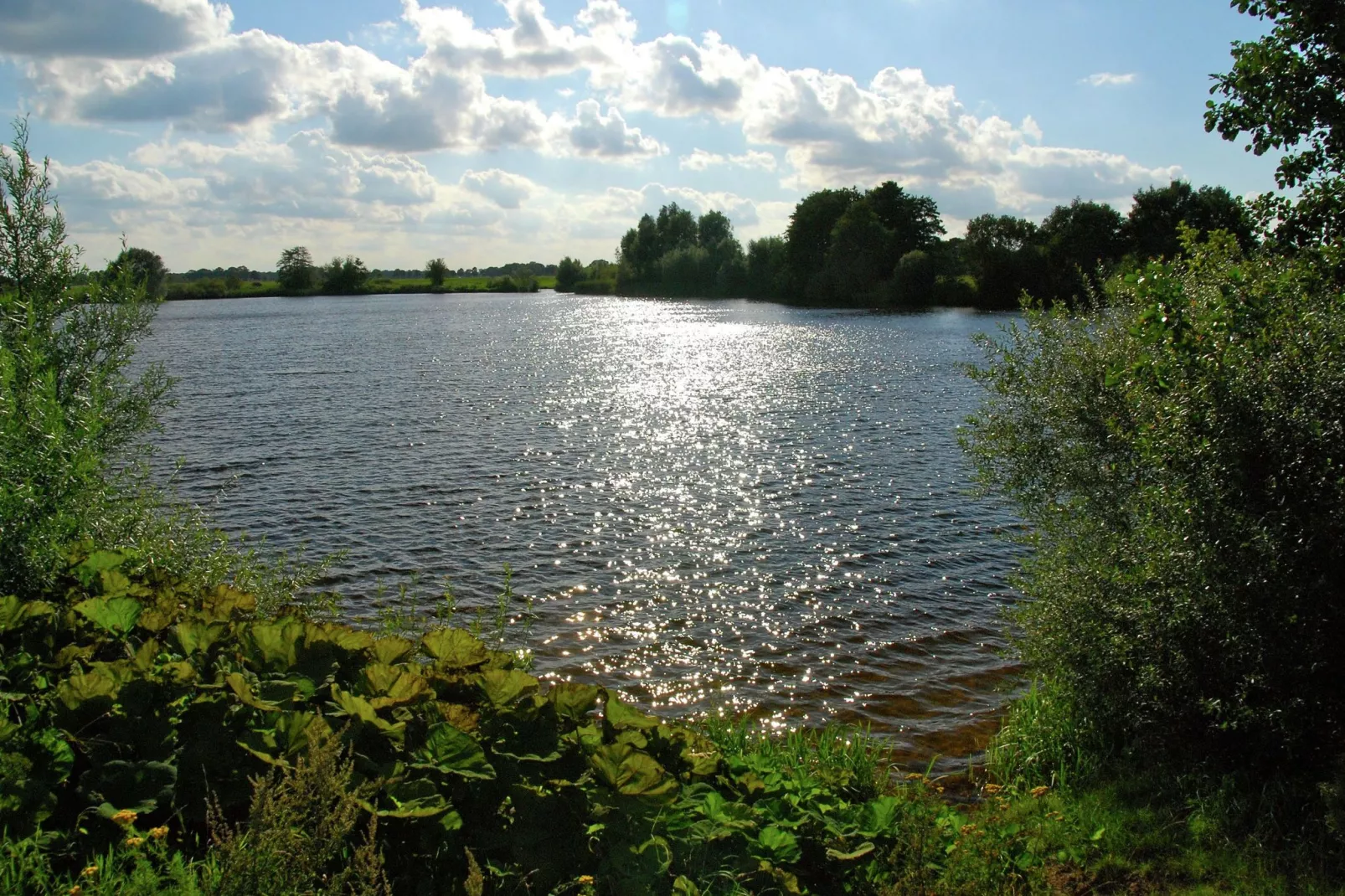 De Tuinfluiter-Gebieden zomer 1km
