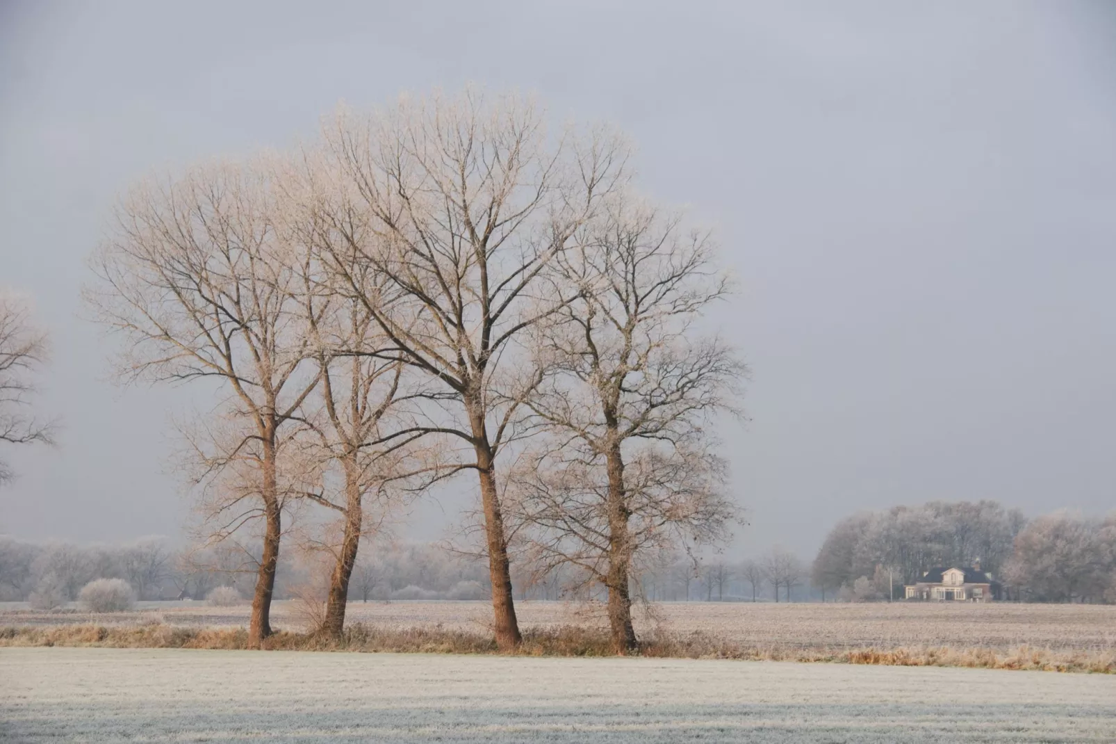 De Tuinfluiter-Gebied winter 1km