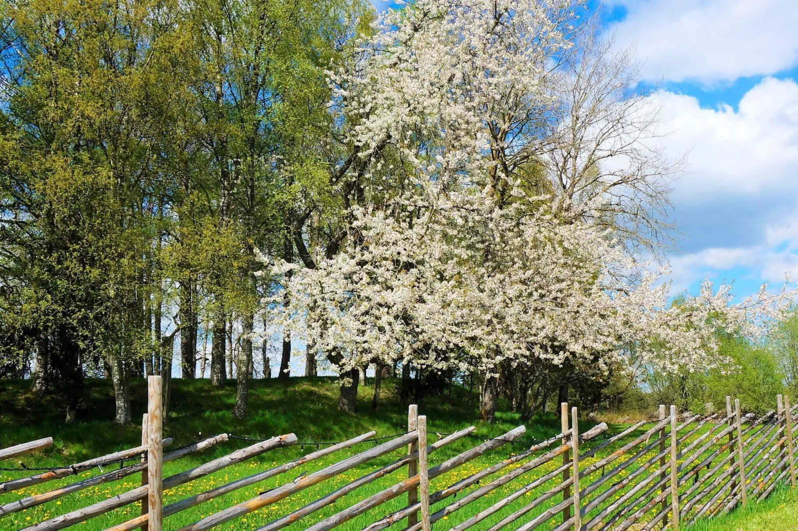 4 persoons vakantie huis in SANDHEM-Uitzicht